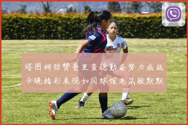 塔图姆称赞普里查德勤奋努力成就今晚精彩表现如同球馆老鼠般默默付出