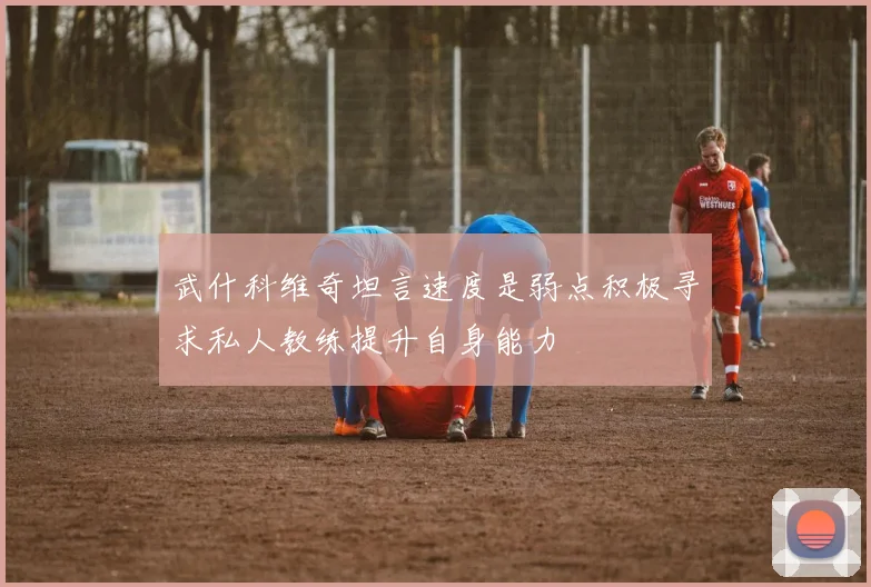 武什科维奇坦言速度是弱点积极寻求私人教练提升自身能力